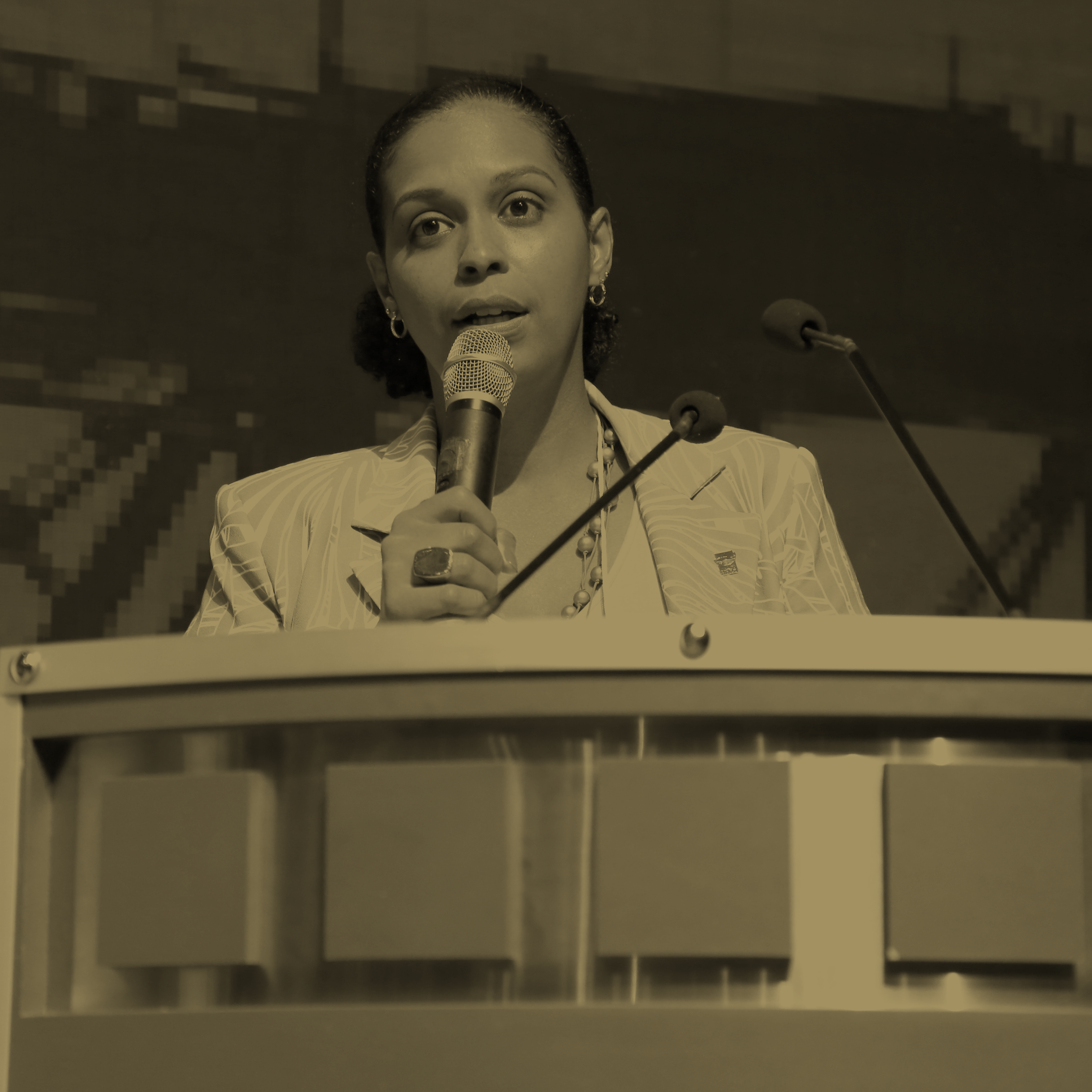 Palestrante Professora Dra. Kênia Lara Silva